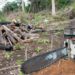 desmatamento floresta amazônica foto agência Brasil