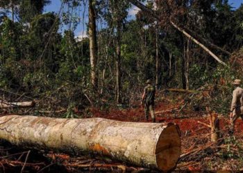 multa ibama amazônia crime ambiental