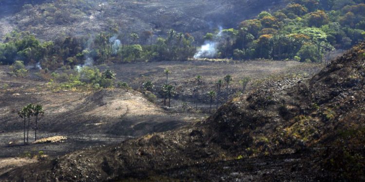Fotos aérea da  queimada (Valter Campanato/Agência Brasil)